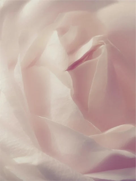 Gel Moussant Visage Douceur & Hydratation – Rose, Camomille & Calendula | 150 ml